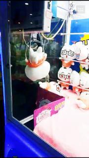 最新爆料蛇叔视频大全在线观看,最新爆料视频大全在线观看