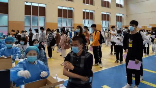 张岚最新爆料消息视频,事件真相全解析